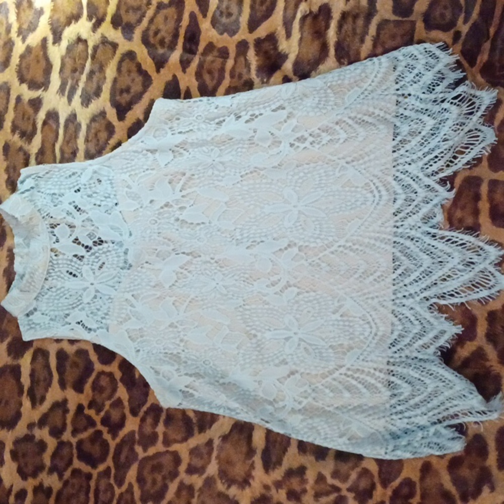 Mint green lace gatsby top